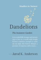 Dandelions